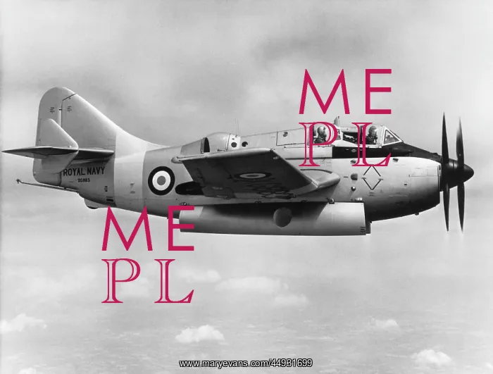 : Fairey Gannet : Fairey Gannet