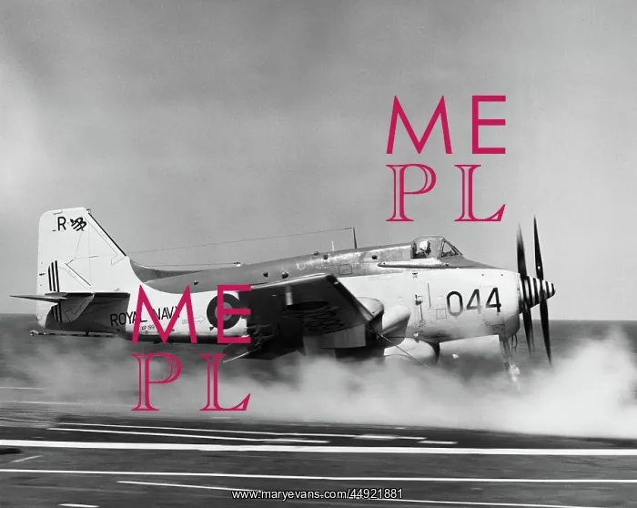 : Fairey Gannet AEW-3 : Fairey Gannet AEW-3