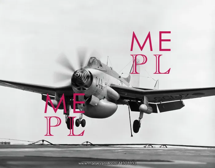 : Fairey Gannet AEW-3 : Fairey Gannet AEW-3