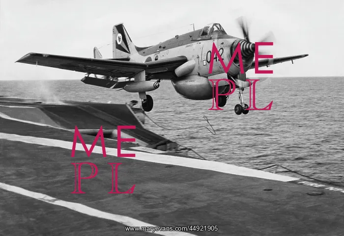 : Fairey Gannet AEW-3 : Fairey Gannet AEW-3