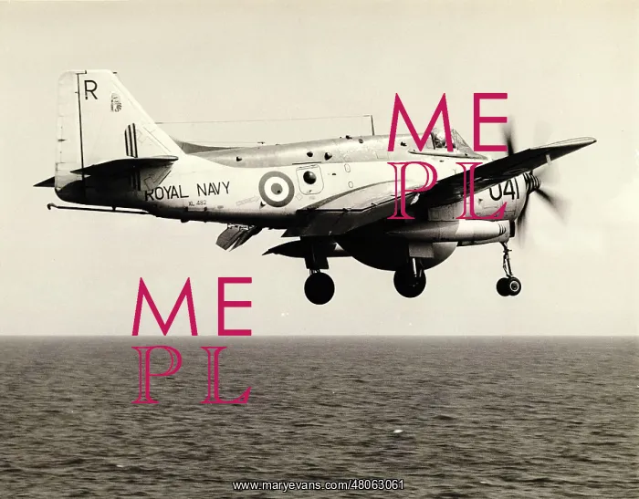 : Fairey Gannet AEW3 XL482 : Fairey Gannet AEW3 XL482