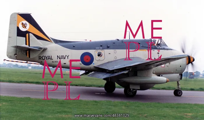 : Fairey Gannet AEW.3 XL502 : Fairey Gannet AEW.3 XL502