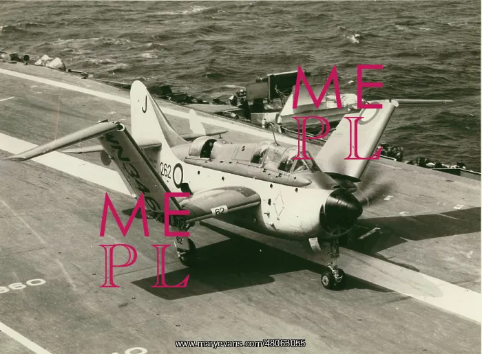 : Fairey Gannet AS1 WN346 : Fairey Gannet AS1 WN346