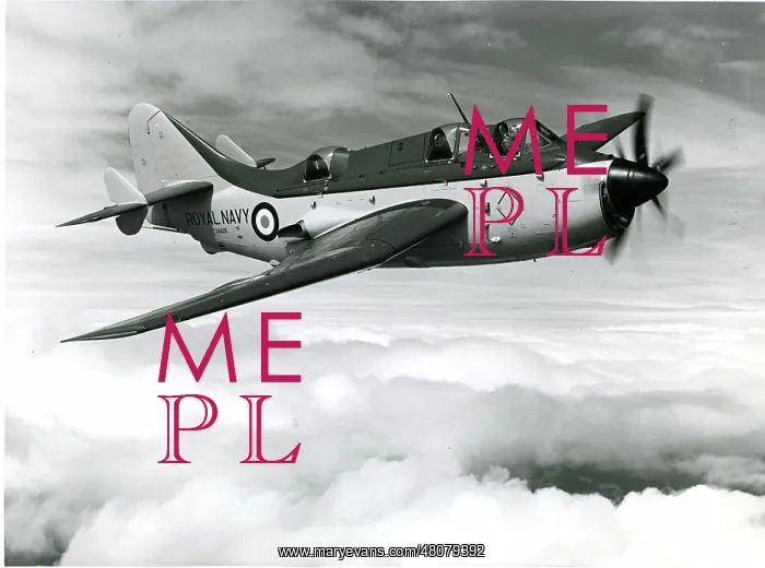 : Fairey Gannet AS4, XA425 : Fairey Gannet AS4, XA425