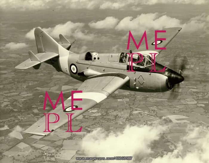 : Fairey Gannet T5 : Fairey Gannet T5