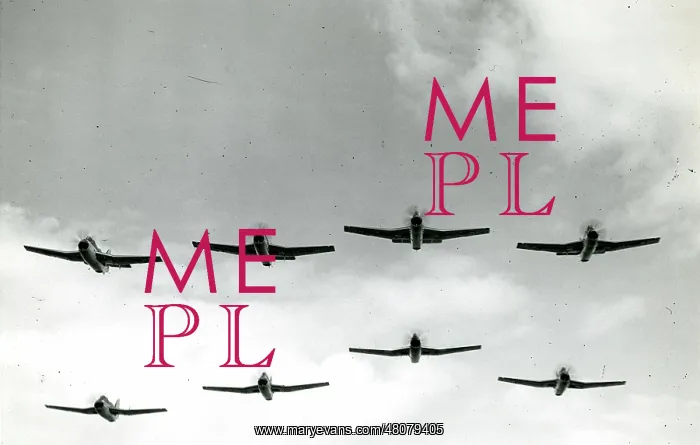 : Eight Fairey Gannets : Eight Fairey Gannets