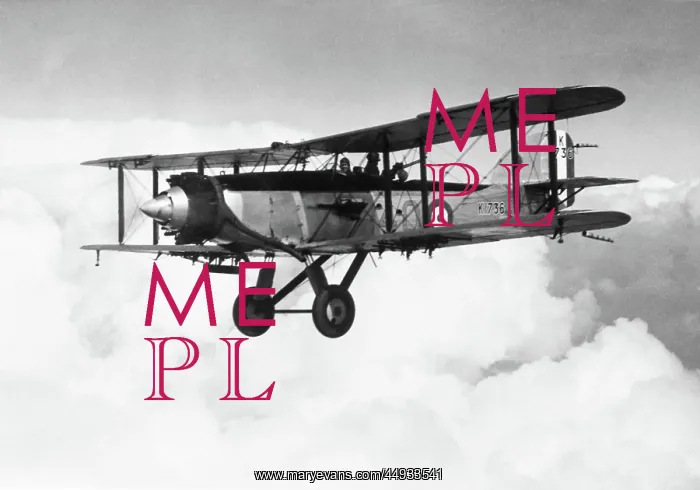 : Fairey Gordon Mk I / 1 : Fairey Gordon Mk I / 1