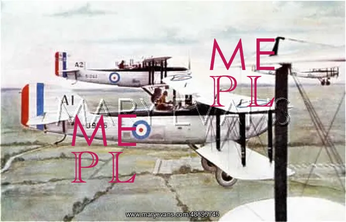 : FAIREY IIIF BIPLANE : FAIREY IIIF BIPLANE