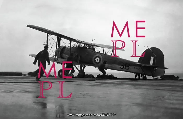 : Fairey Swordfish : Fairey Swordfish