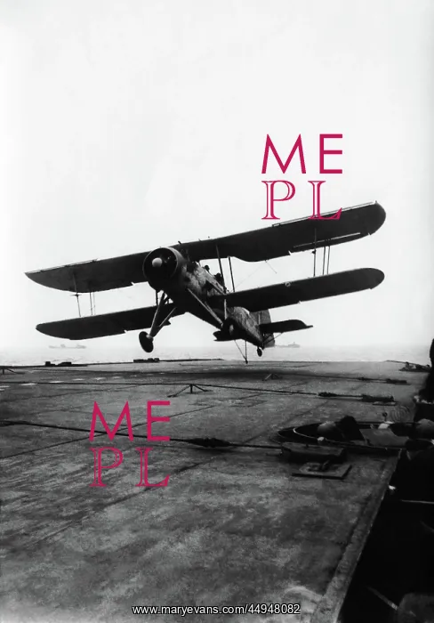 : Fairey Swordfish : Fairey Swordfish
