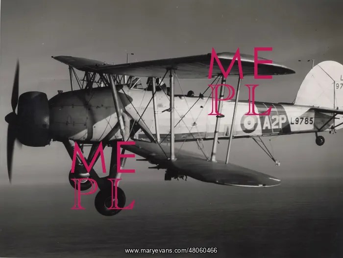 : Fairey Swordfish I L9785 : Fairey Swordfish I L9785