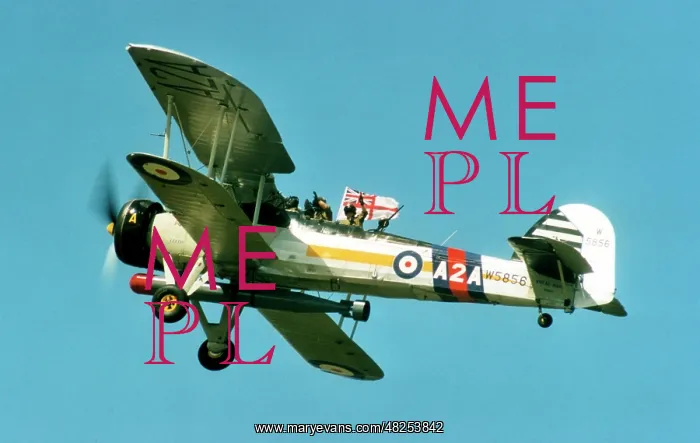 : Fairey Swordfish II W5856 : Fairey Swordfish II W5856