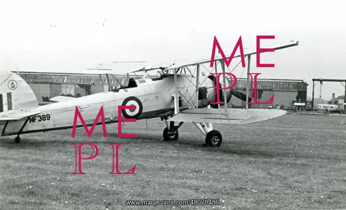: Fairey Swordfish III, NF389 : Fairey Swordfish III, NF389
