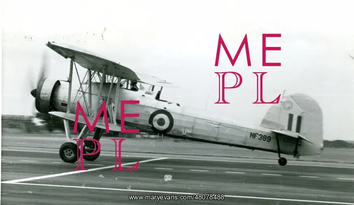 : Fairey Swordfish III, NF389 : Fairey Swordfish III, NF389