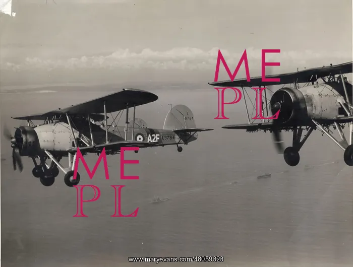 : Three Fairey Swordfish Is including L9784 : Three Fairey Swordfish Is including L9784