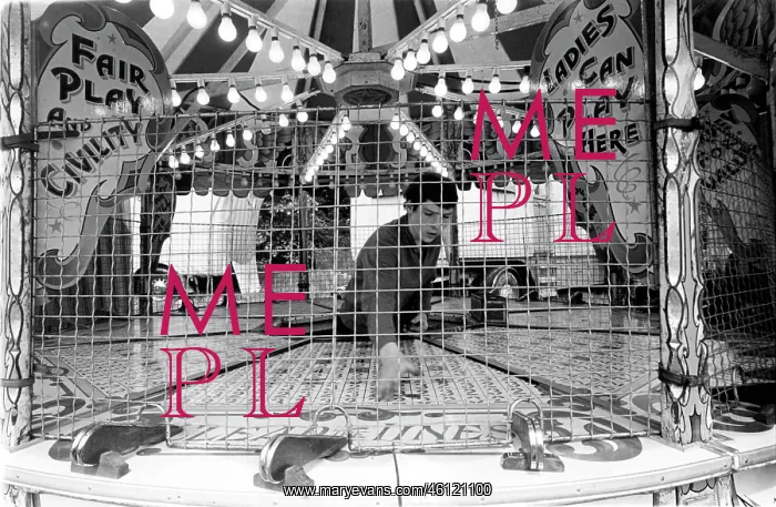 : Fairground penny rolling game with attendant : Fairground penny rolling game with attendant