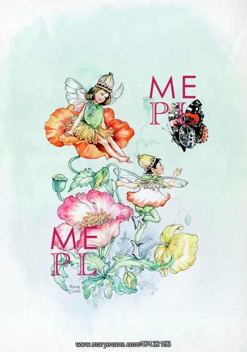  : Fairies, butterfly and poppies