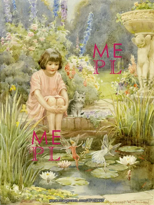 : Fairies and Elves : Fairies and Elves