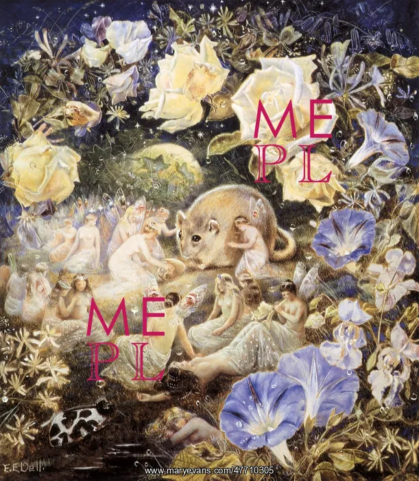  : Fairies and Field Mouse