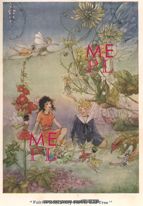 : Fairies from every Flower : Fairies from every Flower