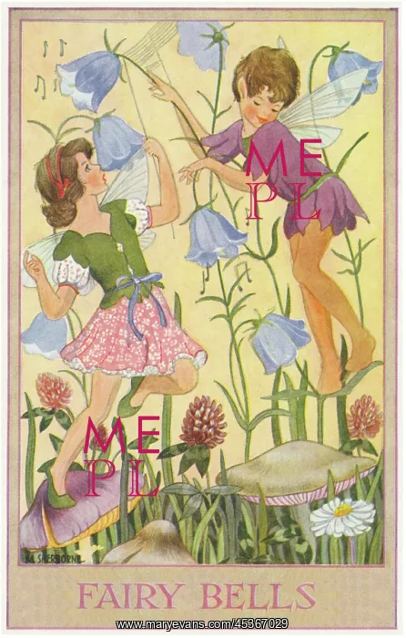 : Fairies & flowers : Fairies & flowers