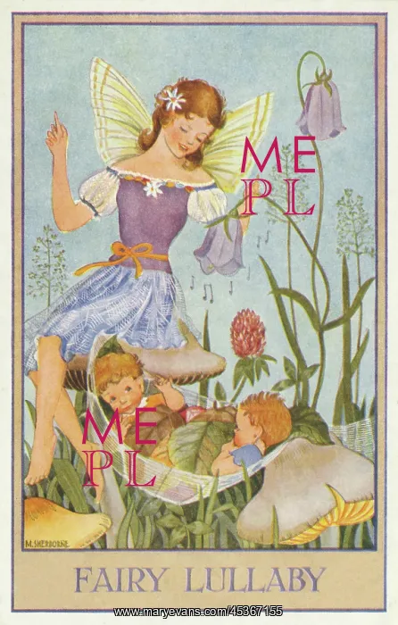 : Fairies & flowers : Fairies & flowers