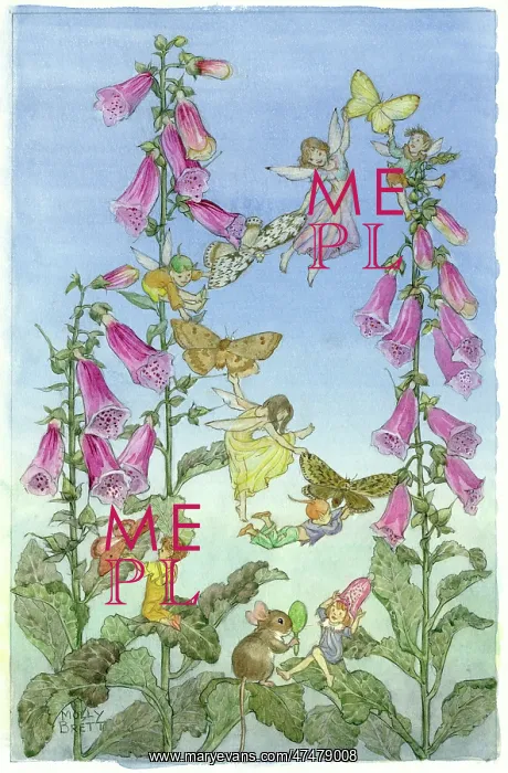 : Fairies and Foxgloves ' with butterflies : Fairies and Foxgloves ' with butterflies