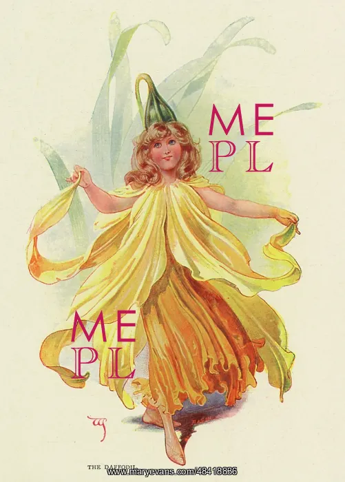  : Fairies of the Garden - The Daffodil