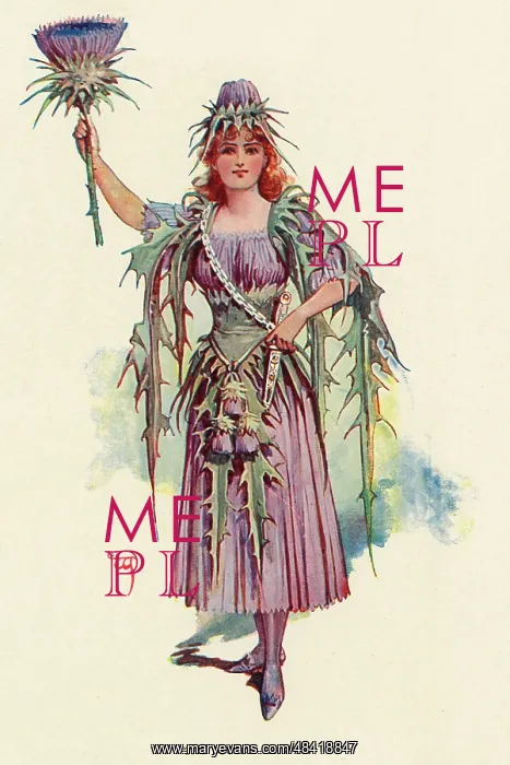 : Fairies of the Garden - The Scotch Thistle