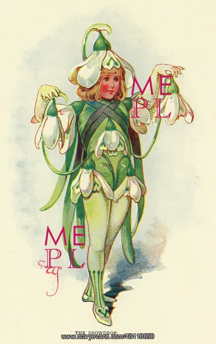  : Fairies of the Garden - The Snowdrop