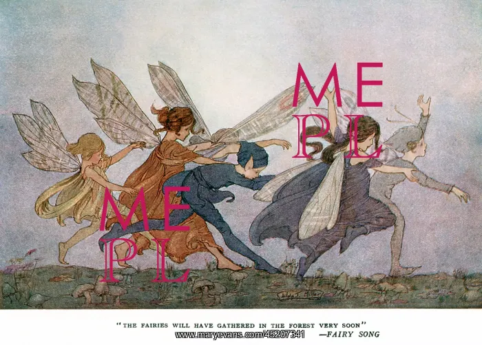 : The fairies will have gathered in the forest very soon : The fairies will have gathered in the forest very soon