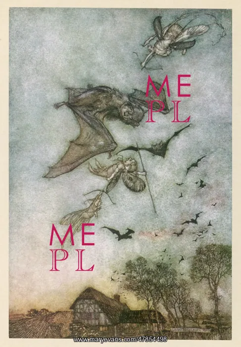 : FAIRIES HUNT BATS : FAIRIES HUNT BATS