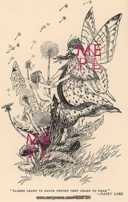 : Fairies learn to dance : Fairies learn to dance