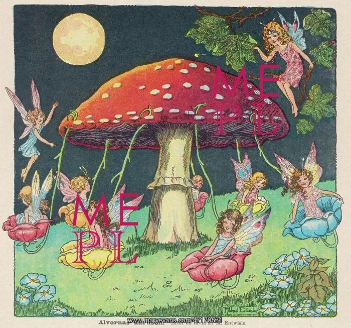 : Fairies Merry Go Round : Fairies Merry Go Round