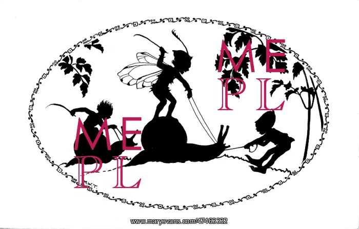 : Fairies riding on snails : Fairies riding on snails