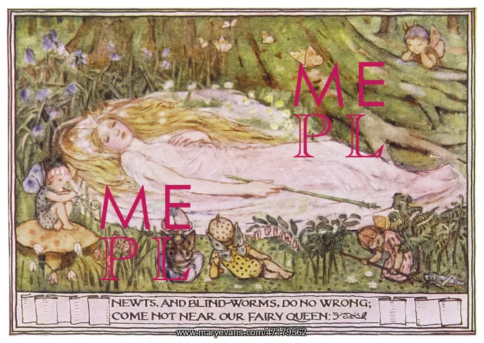  : FAIRIES AND SLEEPER