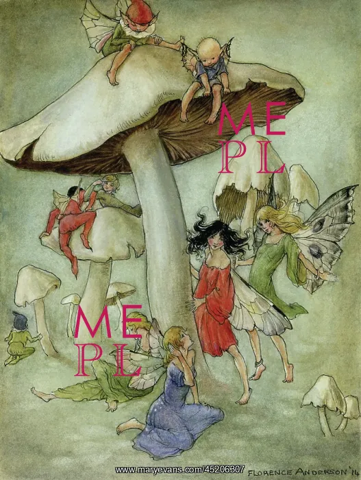 : Fairies and toadstools : Fairies and toadstools