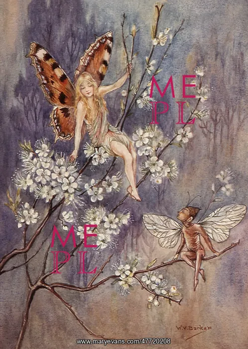  : Fairies on Tree Limbs
