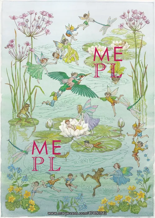  : Fairies and waterlilies (wrap)