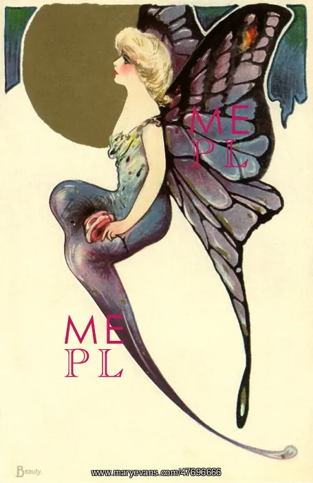  : Fairy