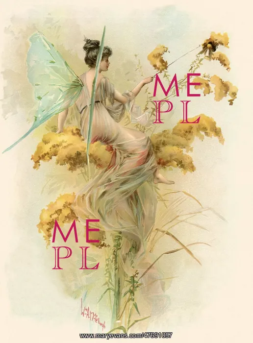  : Fairy with Bee