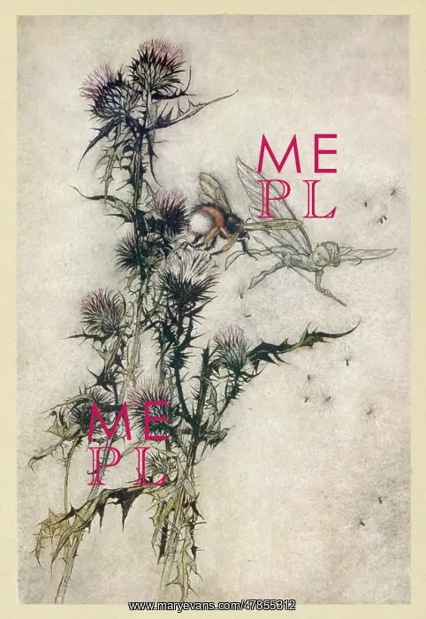  : Fairy and Bee