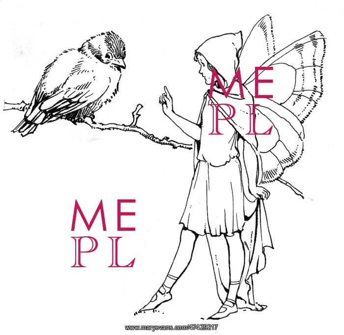 : Fairy with a bird : Fairy with a bird