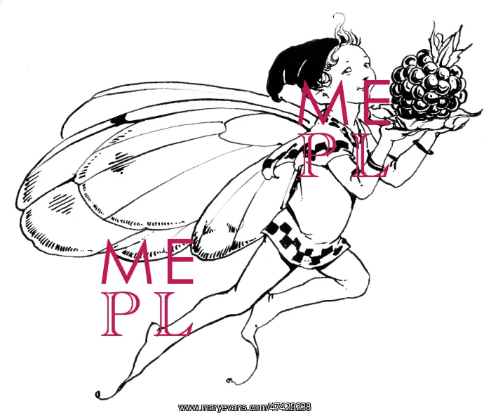 : Fairy with a blackberry : Fairy with a blackberry