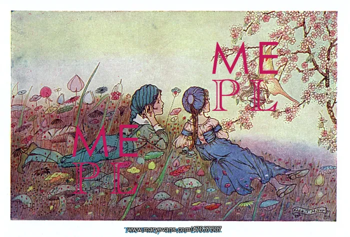 : The Fairy in the Blossom : The Fairy in the Blossom