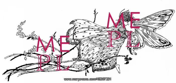 : Fairy on a branch : Fairy on a branch