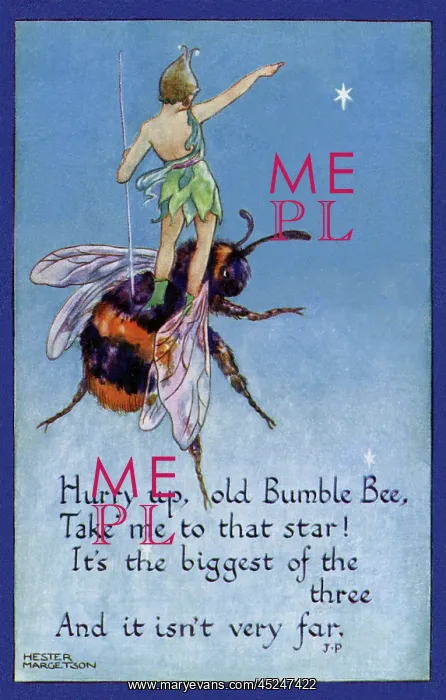 : Fairy on a bumblebee : Fairy on a bumblebee