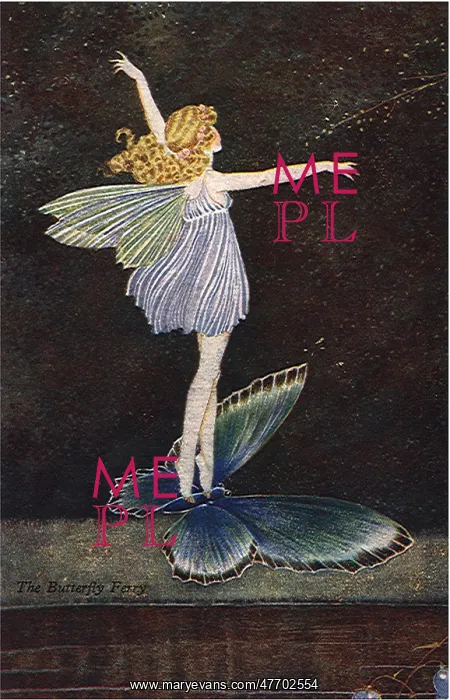  : Fairy on a Butterfly