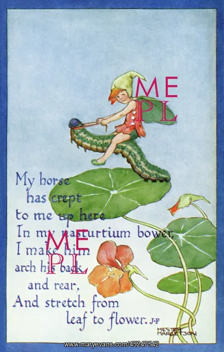 : Fairy on a caterpillar : Fairy on a caterpillar