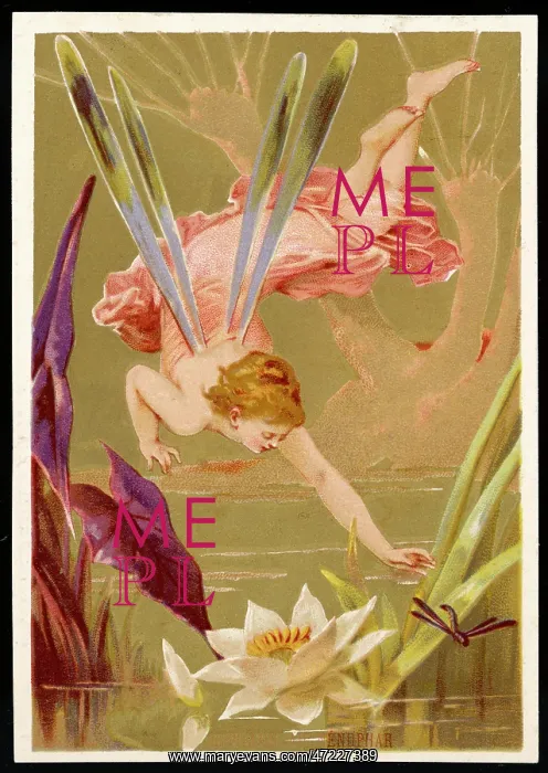 : Fairy Chases Dragonfly : Fairy Chases Dragonfly